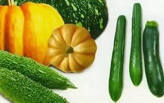 吃瓜网最新版官网,全新界面,海量资讯,带你畅游娱乐圈