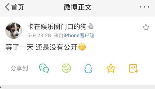 吃瓜爆料大头,揭秘大头背后的惊人真相