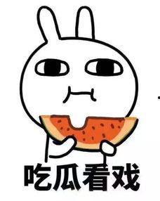 娱乐吃瓜君天秤座,揭秘娱乐圈那些不为人知的秘密